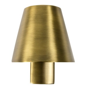 62163 LE PETIT LED SATIN GOLD WALL LAMP